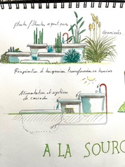30_plantes et baignoires.jpg