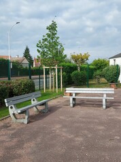 Des arbres et bancs dans la cour