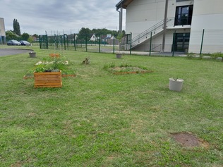 Potager5